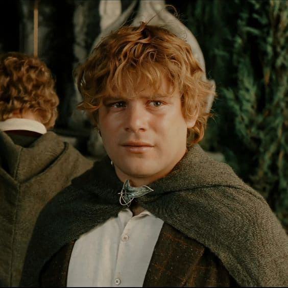 Samwise Gamgee